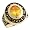 14k Gold November Birthstone 2012 Graduation Mens Ring