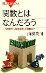 関数とはなんだろう (ブルーバックス)