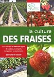 La culture des fraises
