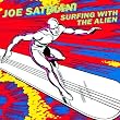 Surfing with the Alien