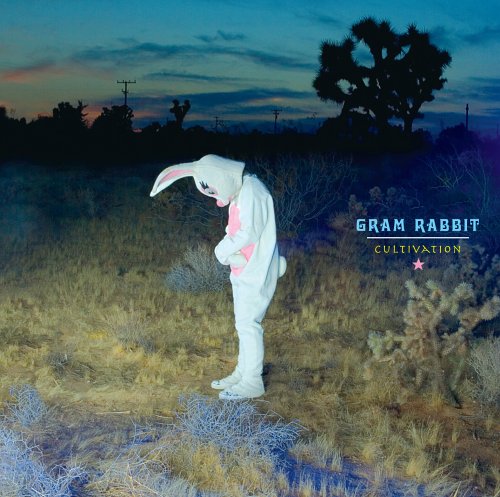 Gram Rabbit - Bloody Bunnies (Superficiality) Lyrics - Zortam Music
