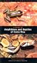A Guide to Amphibians and Reptiles of Costa Rica