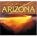THE UNITED STATES OF AMERICA: ALL ABOUT ARIZONA