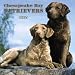 Chesapeake Bay Retrievers 2005 Calendar