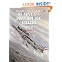 US Navy F-4 Phantom II MiG Killers 1972-73 (Combat Aircraft) (Part 2)