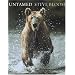 Untamed