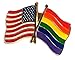 Gay & Lesbian Pride Rainbow & USA Flag Lapel Hat Pin (1 Pin)