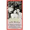 Unforgettable Women 4