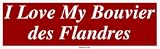 I Love My Bouvier des Flandres Large Bumper Sticker