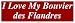 I Love My Bouvier des Flandres Large Bumper Sticker