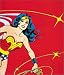 Search : Wonder Woman Bound Journal (Wonder Woman)