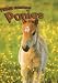 Ponies (Farm Animals)