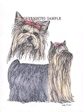 Yorkshire Terrier - Double Image by Cindy Farmer