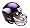 Minnesota Vikings