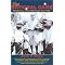 Immerse Yourself in Baseball History
