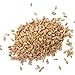 Augason Farms Hard Red Wheat Emergency Food Storage 26 Pound Pail