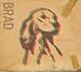 Brad-Best Friends?