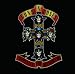 Appetite for Destruction