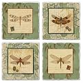 Tumbled Tile Coasters Drgnfly