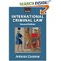 International Criminal Law