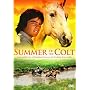Summer of the Colt [DVD] [1989] [Region 1] [US Import] [NTSC]