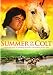 Search : Summer of the Colt