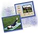 Snap! Yoga for Beginners (Jewel Case)