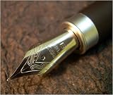 Pen & Ink Fountain Pen Sketch Set- Extra Fine
