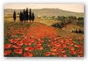 Hills of Tuscany I by Steve Wynne 24"x36" Art Print Poster