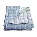 Tadpoles Basics Blue Gingham Coverlet