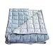 Tadpoles Basics Blue Gingham Coverlet