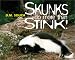 Skunks Do More Than Stink!