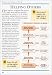 Reducing Stress (Essential Managers)