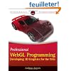 Professional WebGL Programming: Developing 3D Graphics for the Web