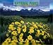 Book National Parks 2004 Calendar: Deluxe