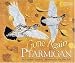  : Gone Again Ptarmigan