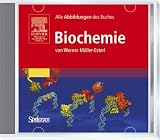 Biochemie, 1 CD-ROM