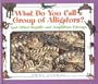 What Do You Call a Group Of - Alligators? And Other Reptile and Amphibian Groups