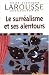 Book Le Surrealisme Et Ses Alentours (Classiques Larousse)