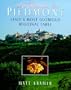 Passion for Piedmont