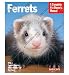 Barrons Books Ferrets Pet Owners Manual