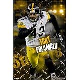 Pittsburgh Steelers Troy Polamalu Sports Poster Print - 22x34