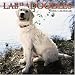 Labradoodles 2006 Calendar