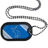 NFL Detroit Lions Dog Tag Necklace