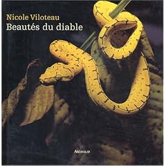 Beaut�s du diable