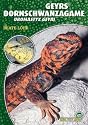 Geyrs Dornschwanzagame: Uromastyx geyri