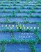 Books : Changes in Scenery: Contemporary Landscape Architecture in Europe