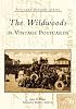The  Wildwoods  in  Vintage  Postcards  (NJ)   (Postcard  History  Series)