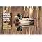 More Than Mallards