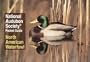 National Audubon Society Pocket Guide to Waterfowl (National Audubon Society Pocket Guides)